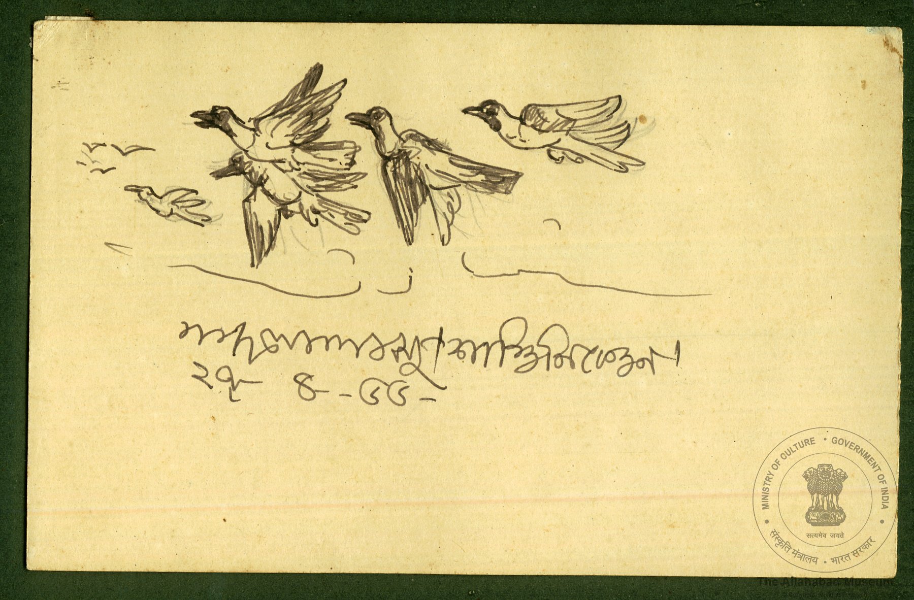 Birds Flying